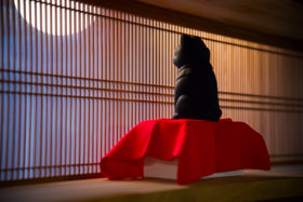 猫本専門店 書肆吾輩堂