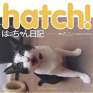 hatch!はっちゃん日記