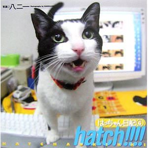 hatch!!!!はっちゃん日記（4）