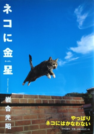 ネコに金星―ニッポンの猫写真集