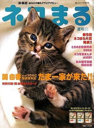 猫びより増刊　ネコまる　夏号　2009　vol.19
