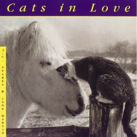 キャット イン ラブ　cats in love