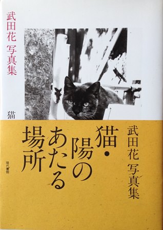 猫・陽のあたる場所―武田花写真集