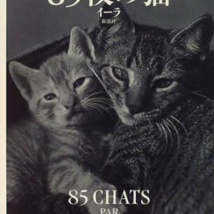 写真集 | 猫本専門書店 書肆 吾輩堂