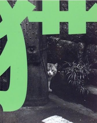 武田花写真集　猫　TOKYO WILD CATS