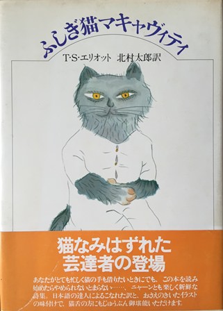 ふしぎ猫マキャヴィティ （単行本）