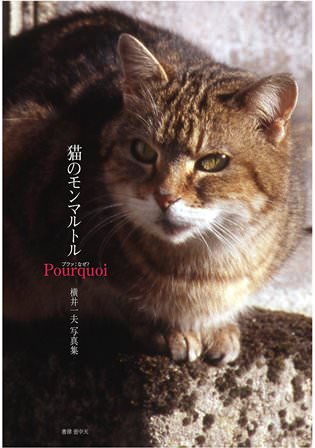 猫のモンマルトル　横井一夫写真集