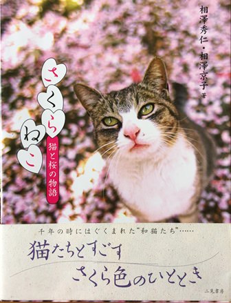 さくらねこ―猫と桜の物語