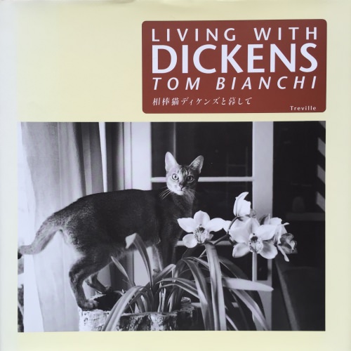 Living with Dickens 相棒猫ディケンズと暮らして