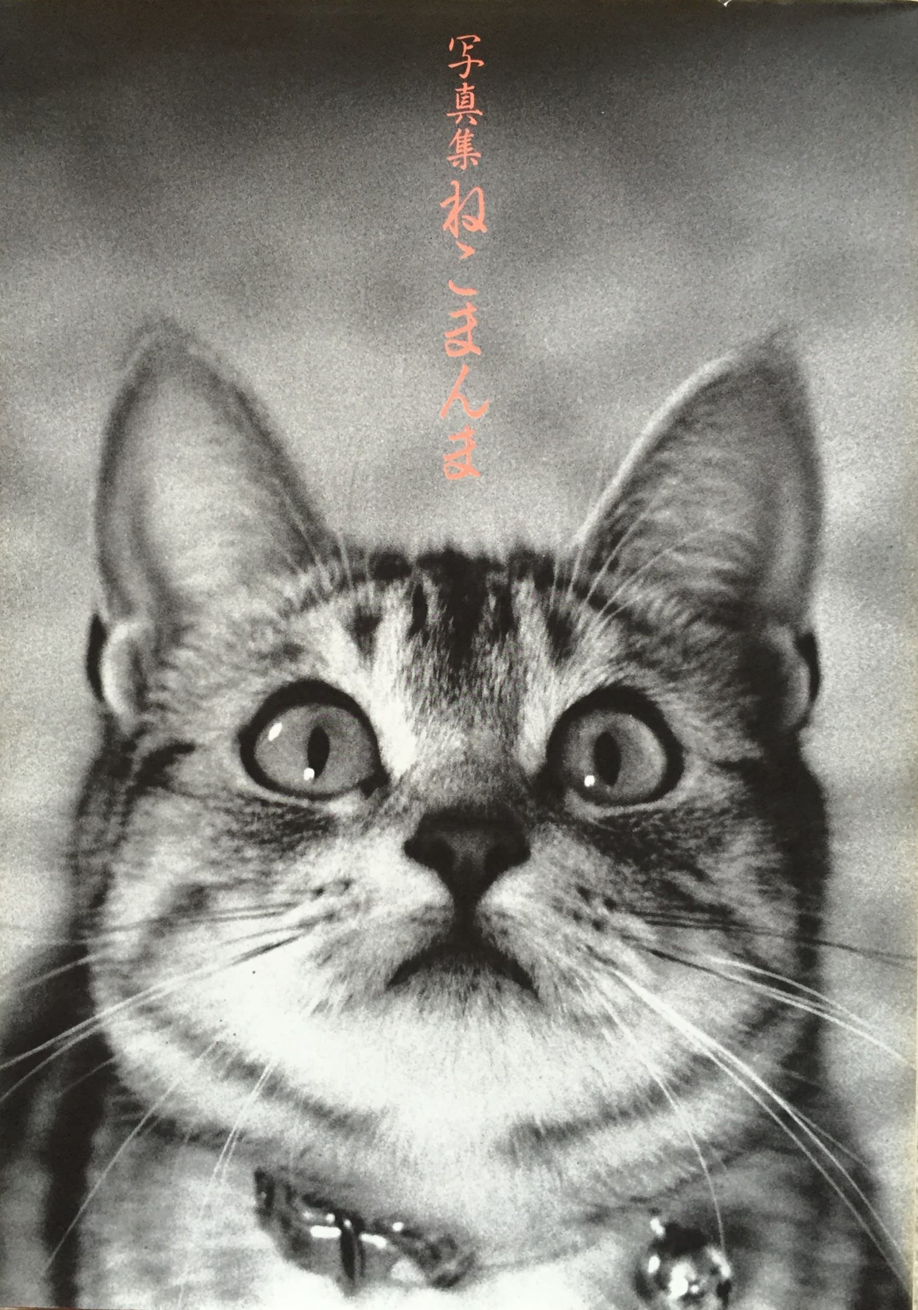 写真集 ねこまんま(改訂新版) | 猫本専門書店 書肆 吾輩堂