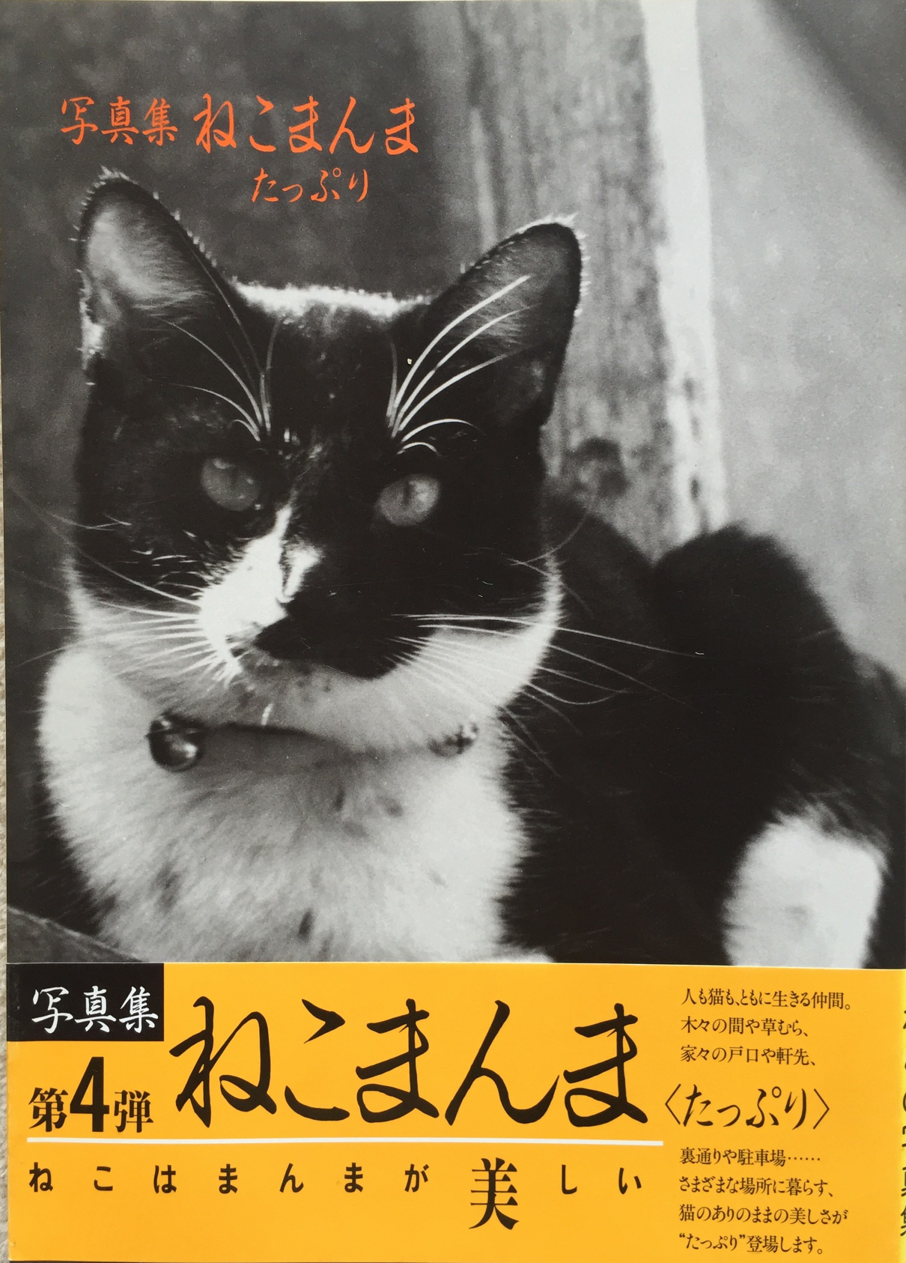 写真集 ねこまんま たっぷり（大型本） | 猫本専門書店 書肆 吾輩堂