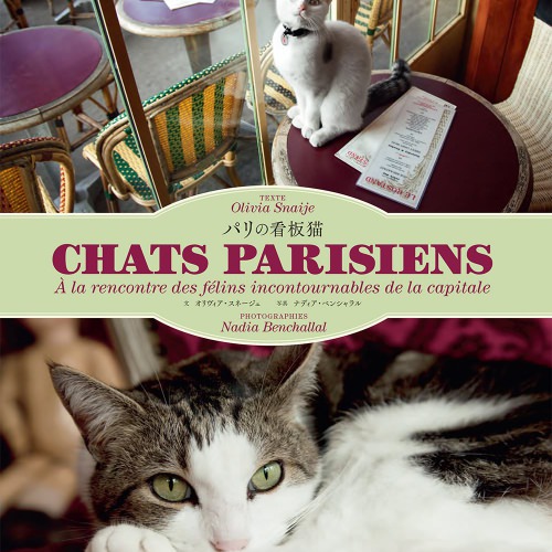パリの看板猫