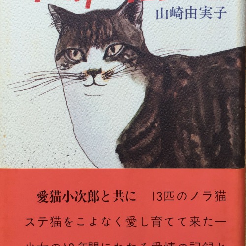 小次郎と十三匹の猫