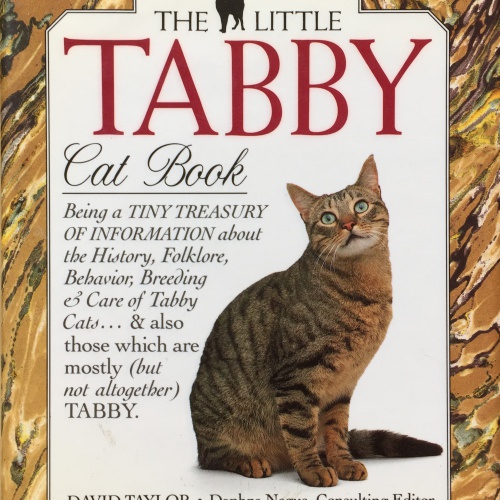 The Little Tabby Cat Book -The Little Cat Library(英語)