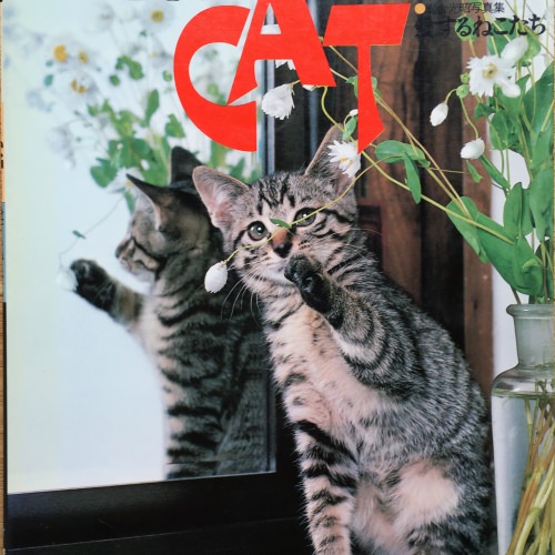 LOVE CAT LOVE 愛するねこたち―岩合光昭写真集