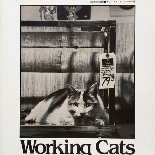 ニューヨークの猫たち　Working Cats