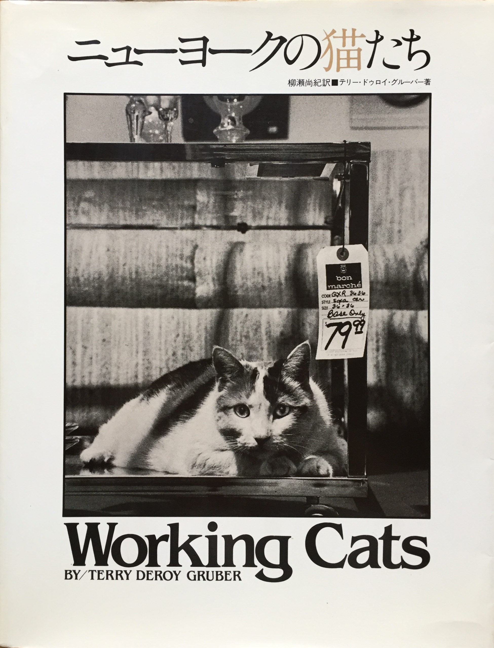 ニューヨークの猫たち Working Cats | 猫本専門書店 書肆 吾輩堂