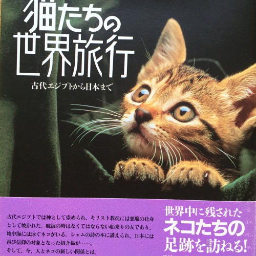 猫たちの世界旅行―古代エジプトから日本まで