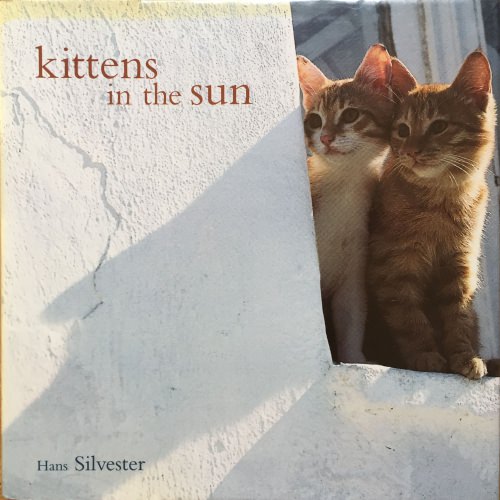 Kittens in the Sun (英語)