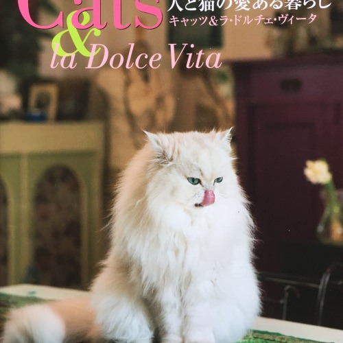 人と猫の愛ある暮らし―キャッツ&ラ・ドルチェ・ヴィータ　Cats & La Dolce Vita