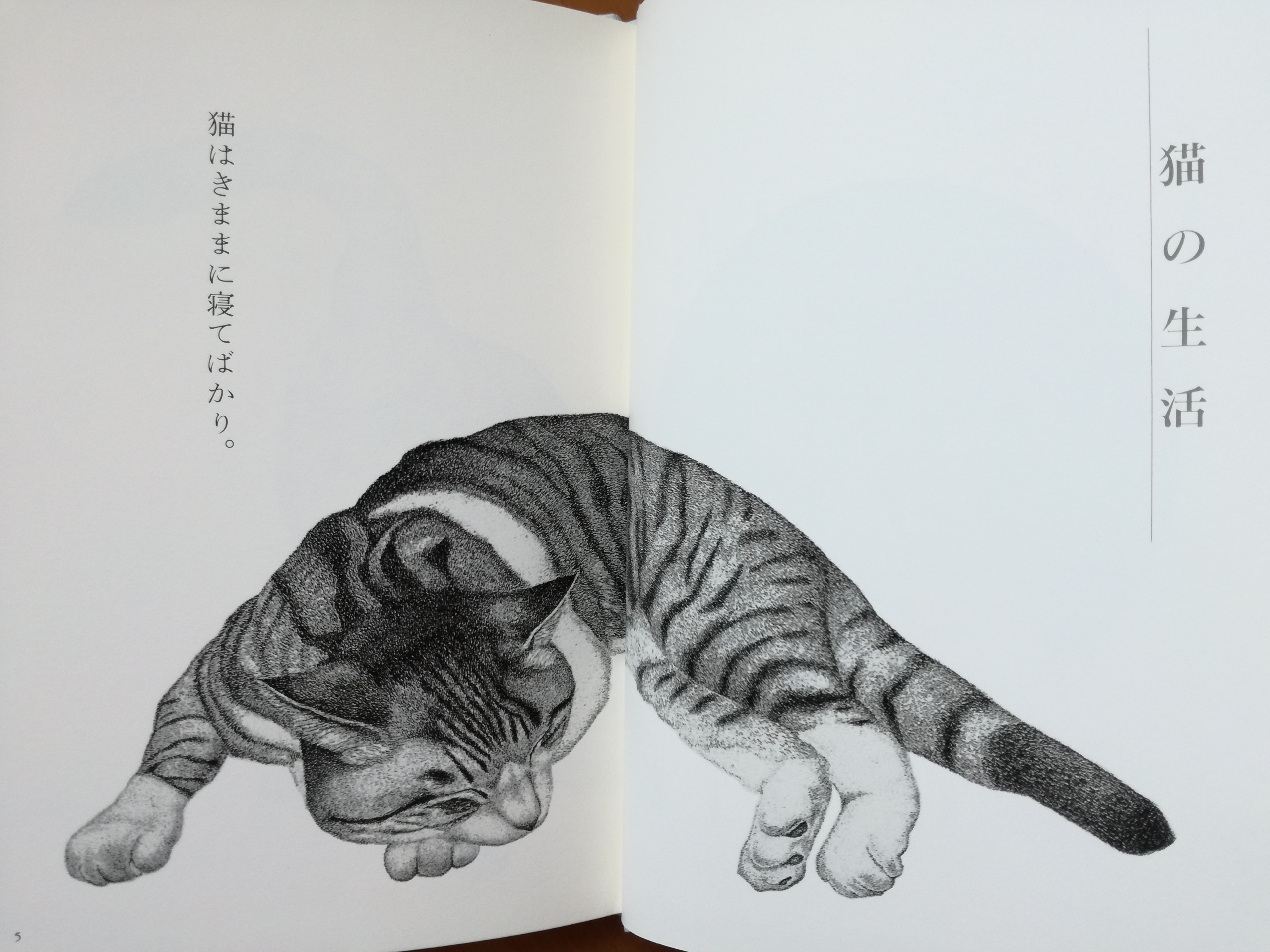猫 | 猫本専門書店 書肆 吾輩堂