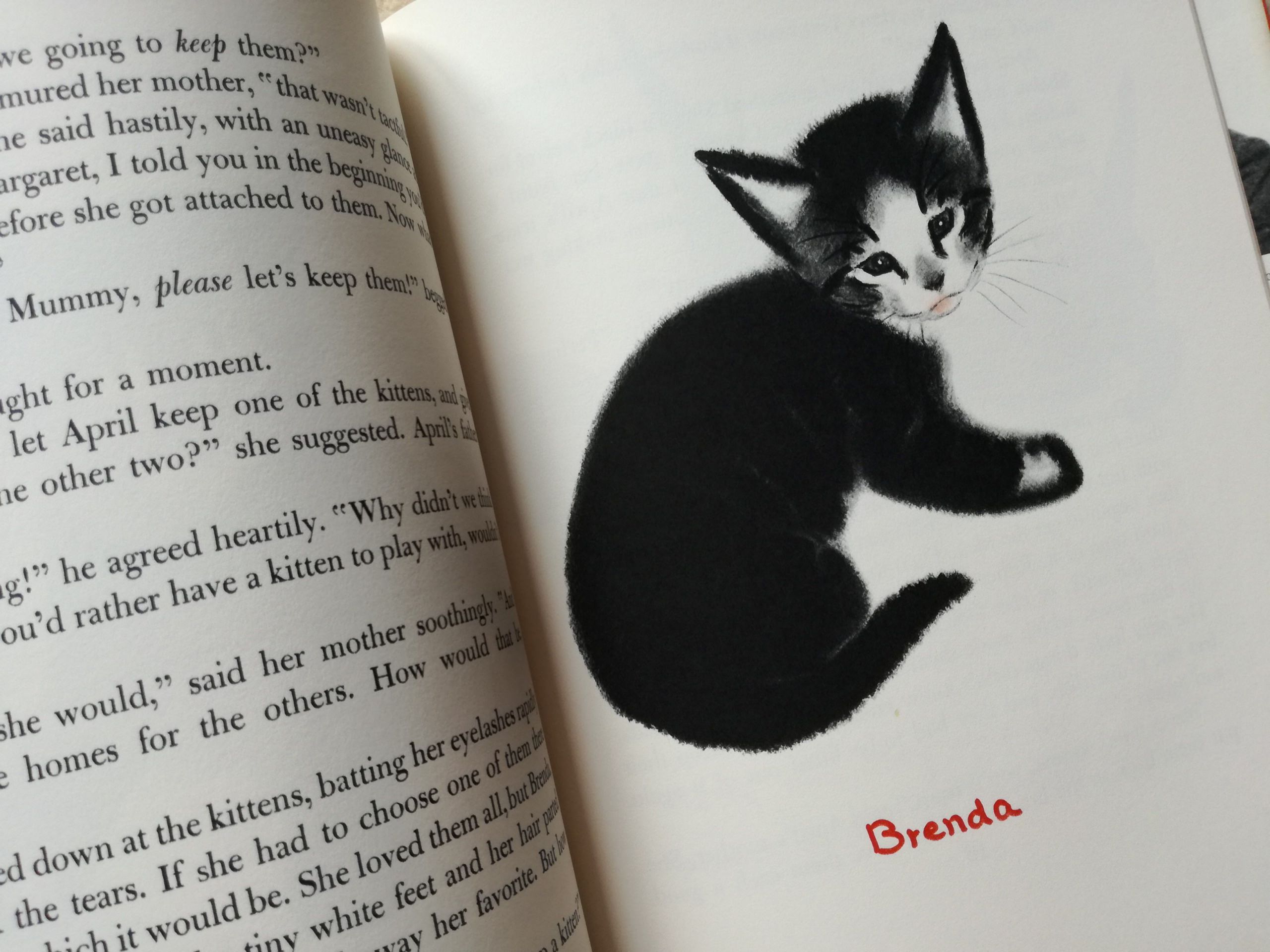 April's Kittens（英語） | 猫本専門書店 書肆 吾輩堂
