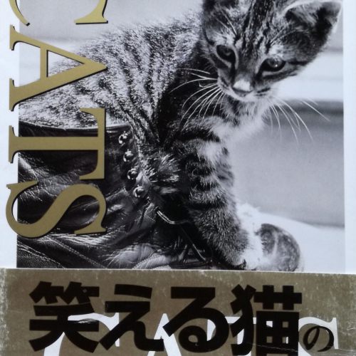 CATS―笑える猫の写真集