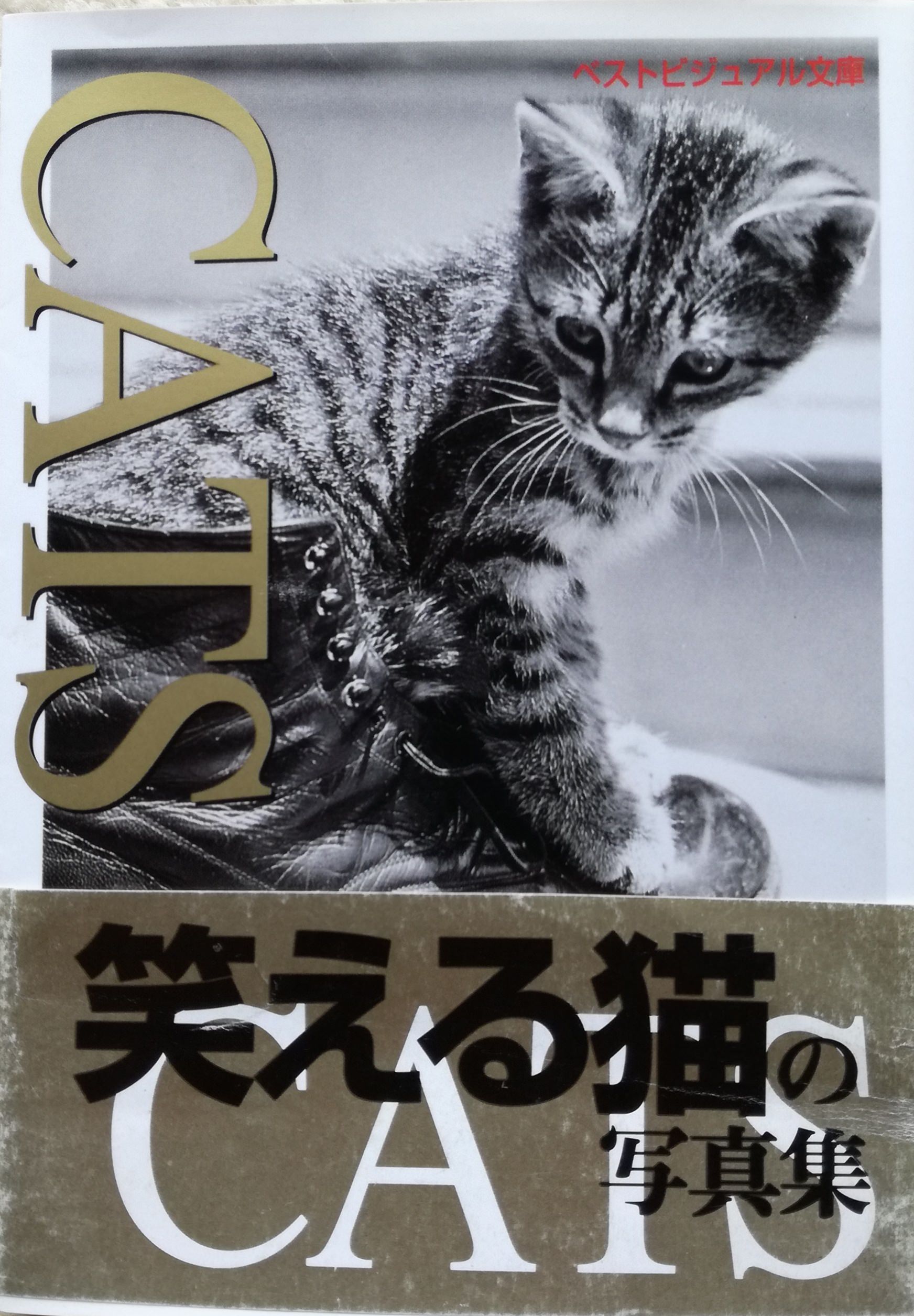CATS―笑える猫の写真集 | 猫本専門書店 書肆 吾輩堂