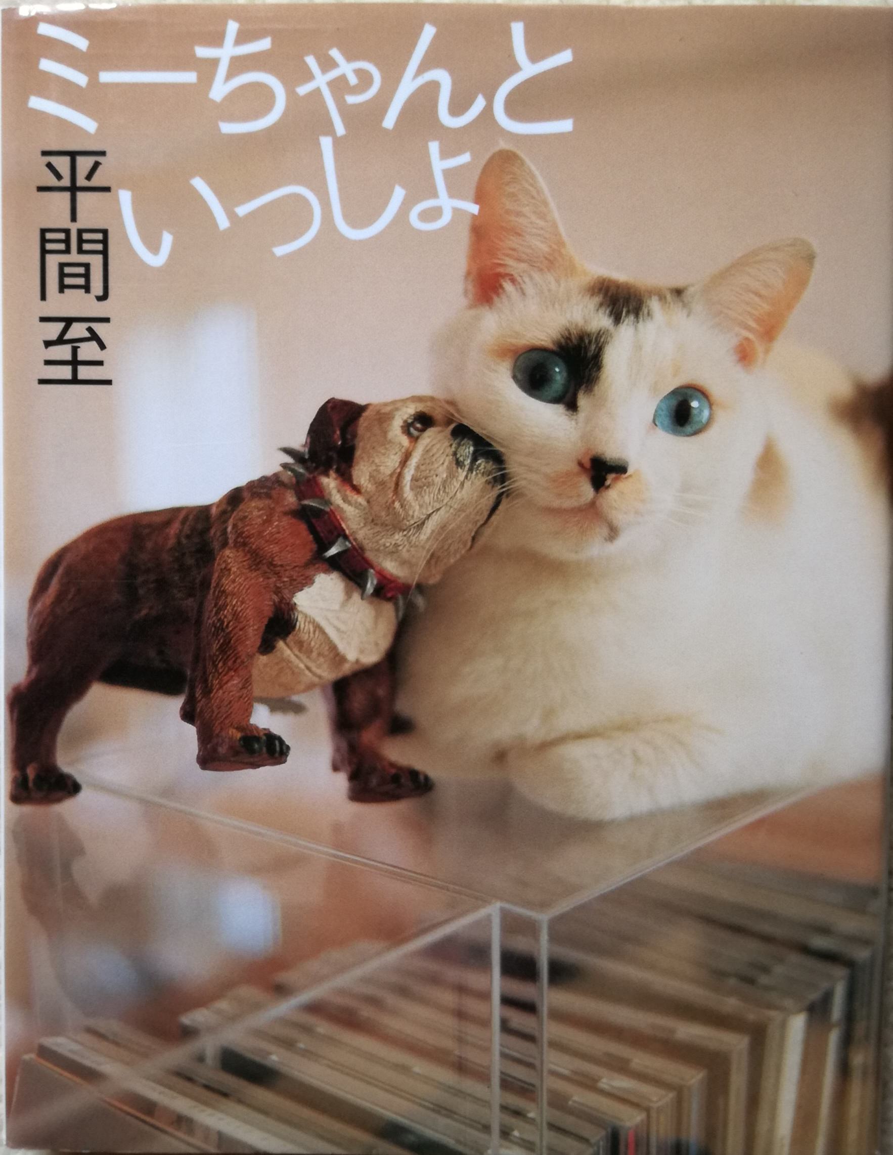 【直筆サイン入り 美品】捨て猫ミーちゃん 平間 至　 写真集 作品 捨て猫ミーちゃん | 平間 至 |本 | 通販 | Amazon