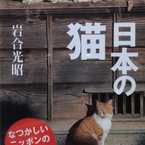 日本の猫 (POSTCARD BOOK)