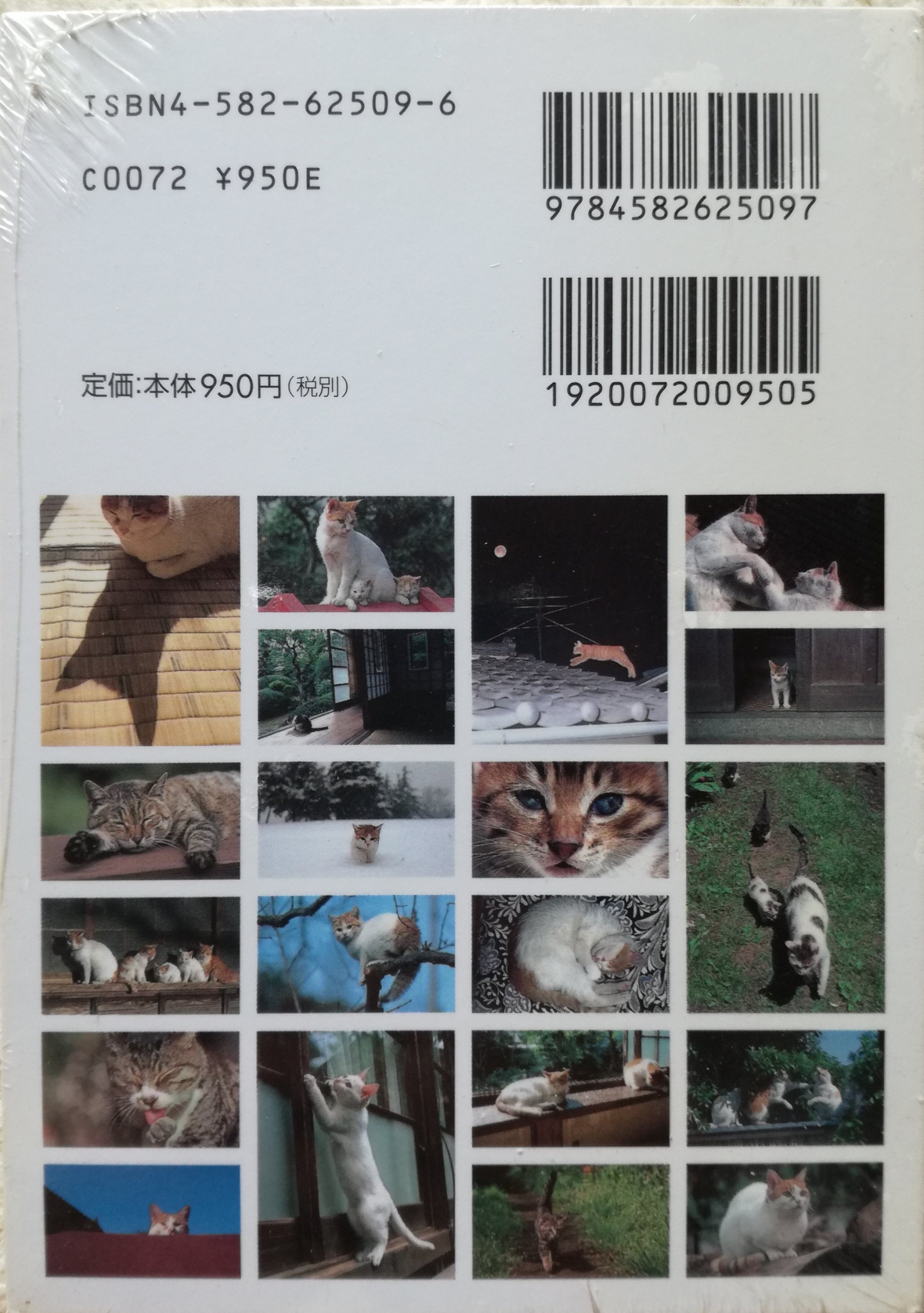 日本の猫 (POSTCARD BOOK) | 猫本専門書店 書肆 吾輩堂
