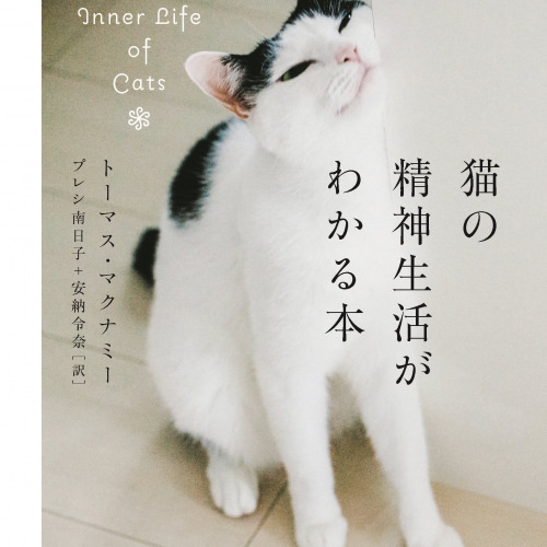 猫の精神生活がわかる本