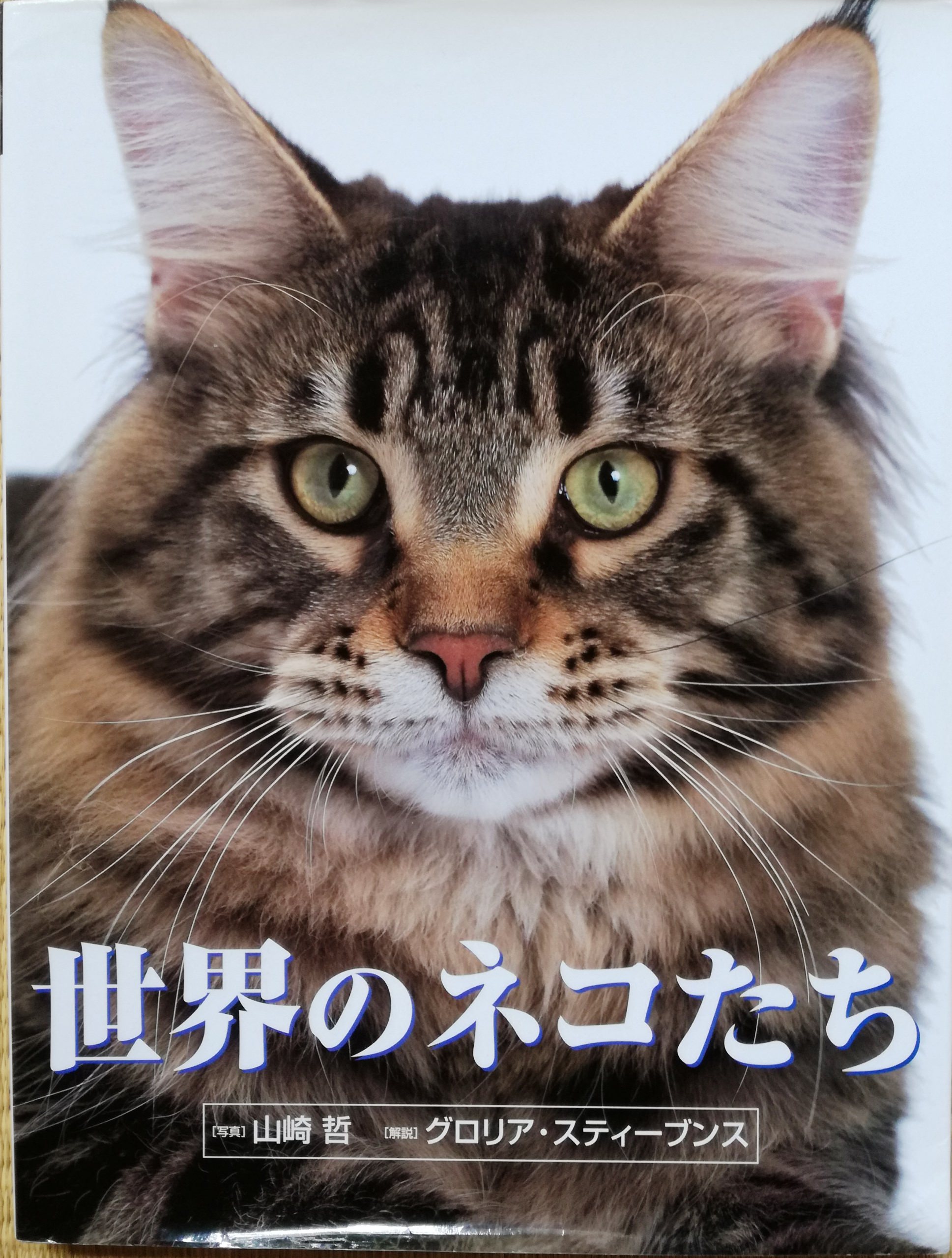 世界のネコたち | 猫本専門書店 書肆 吾輩堂