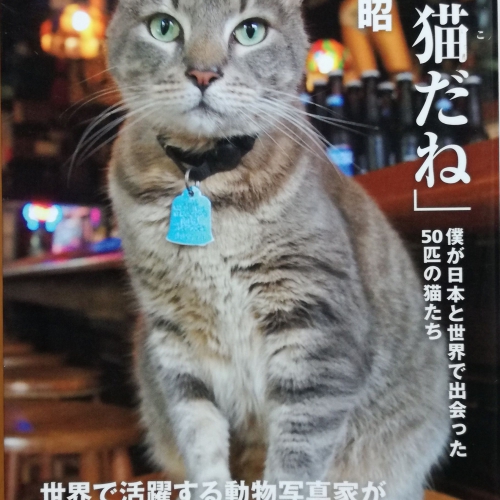 「いい猫（こ）だね」僕が日本と世界で出会った50匹の猫たち