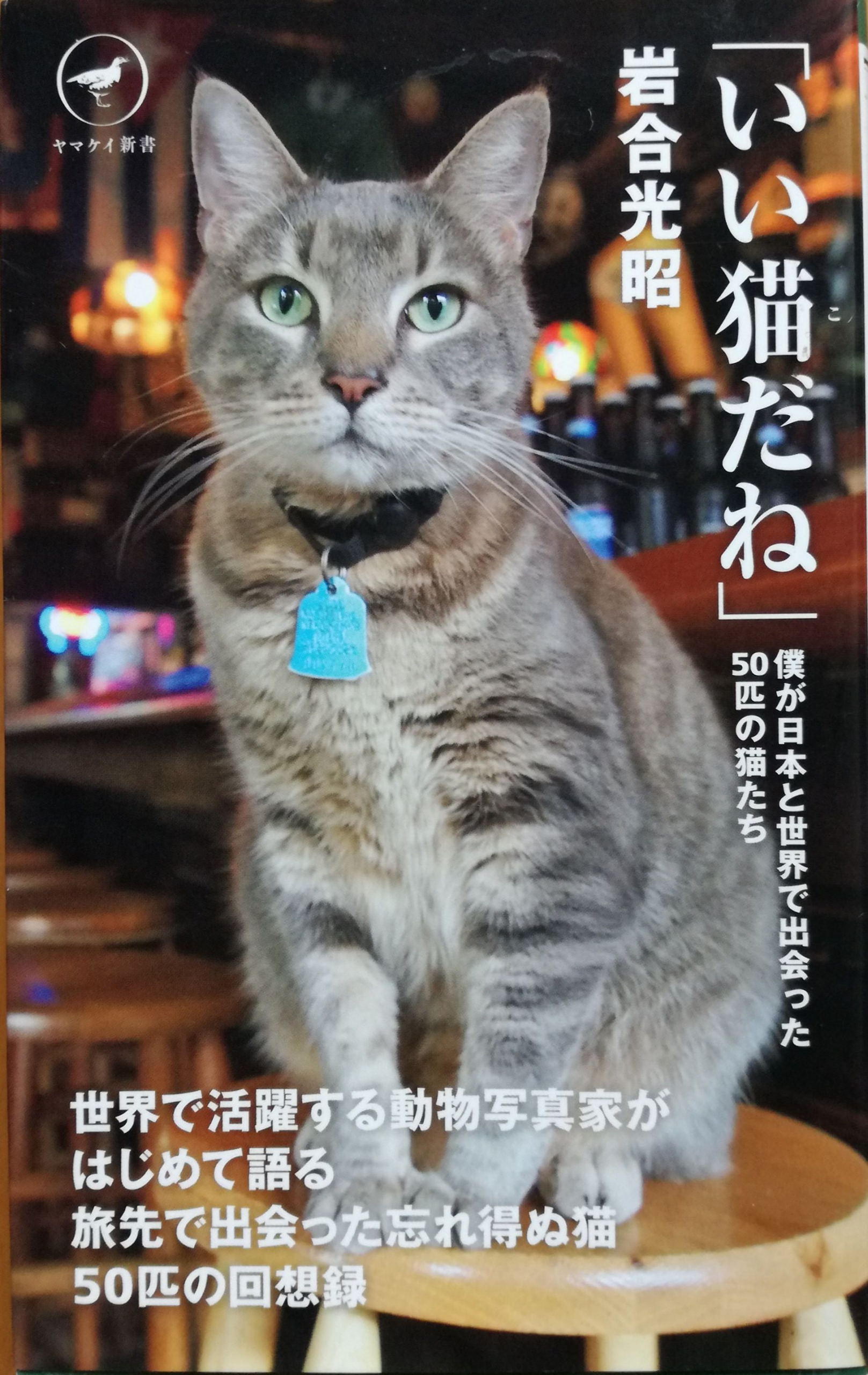 いい猫（こ）だね」僕が日本と世界で出会った50匹の猫たち | 猫本専門