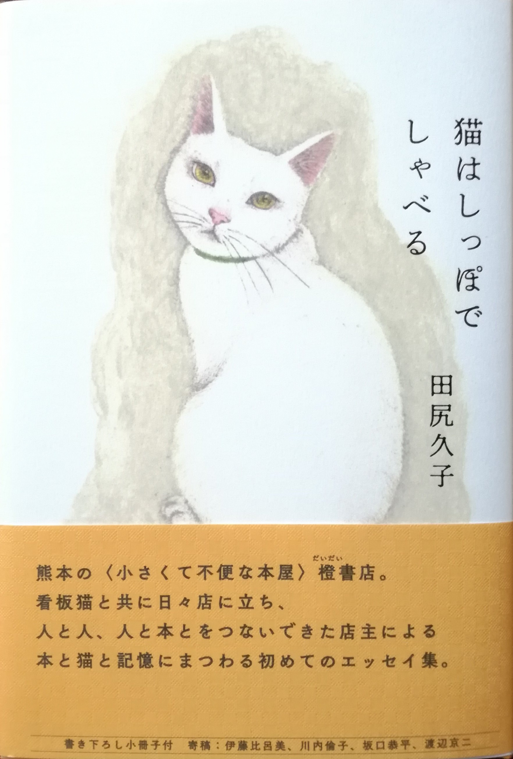猫はしっぽでしゃべる 猫本専門書店 書肆 吾輩堂