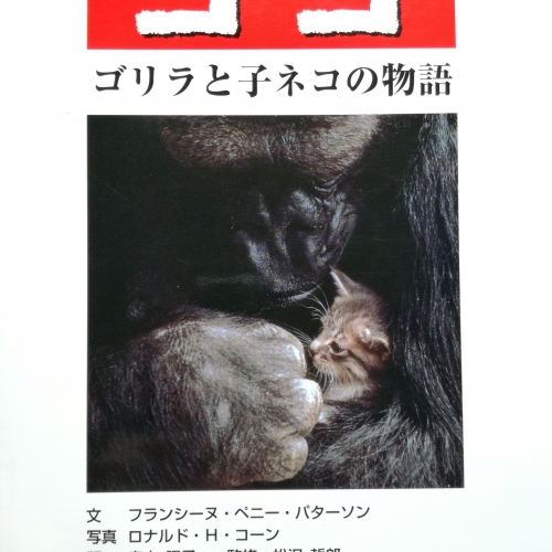ココ―ゴリラと子ネコの物語