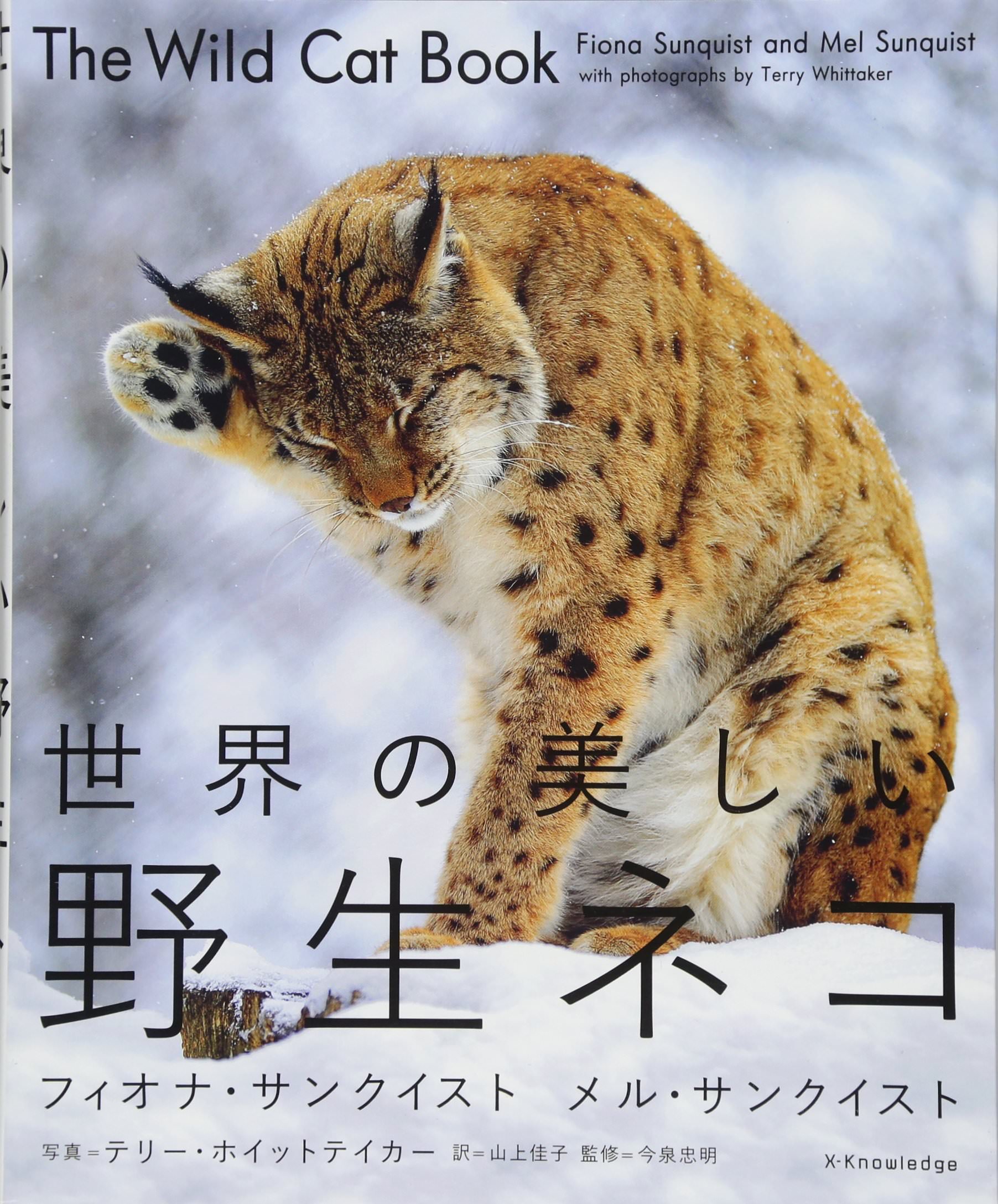 世界の美しい野生ネコ 猫本専門書店 書肆 吾輩堂