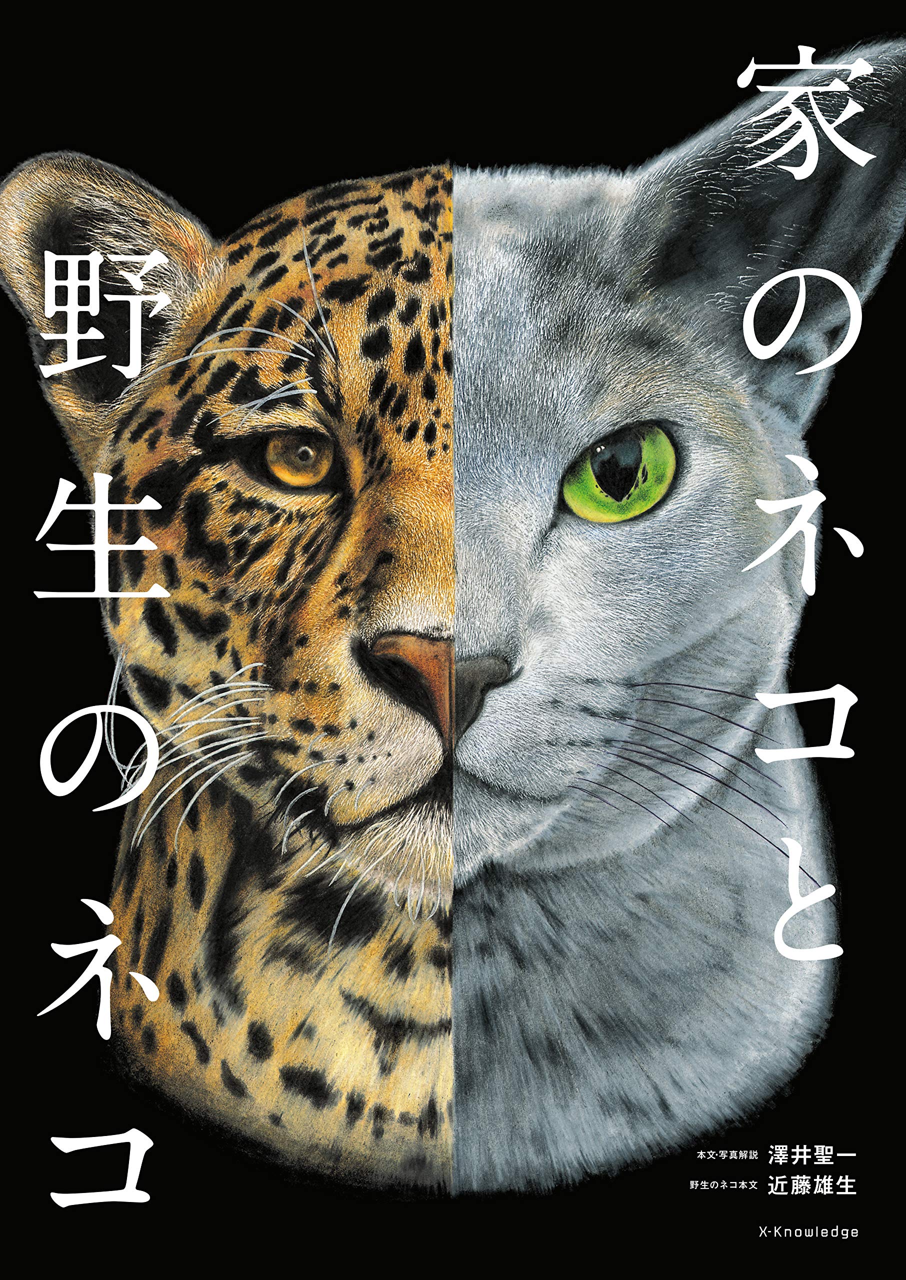 家のネコと野生のネコ 猫本専門書店 書肆 吾輩堂