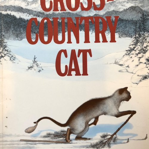 CROSS COUNTRY CAT（英語）