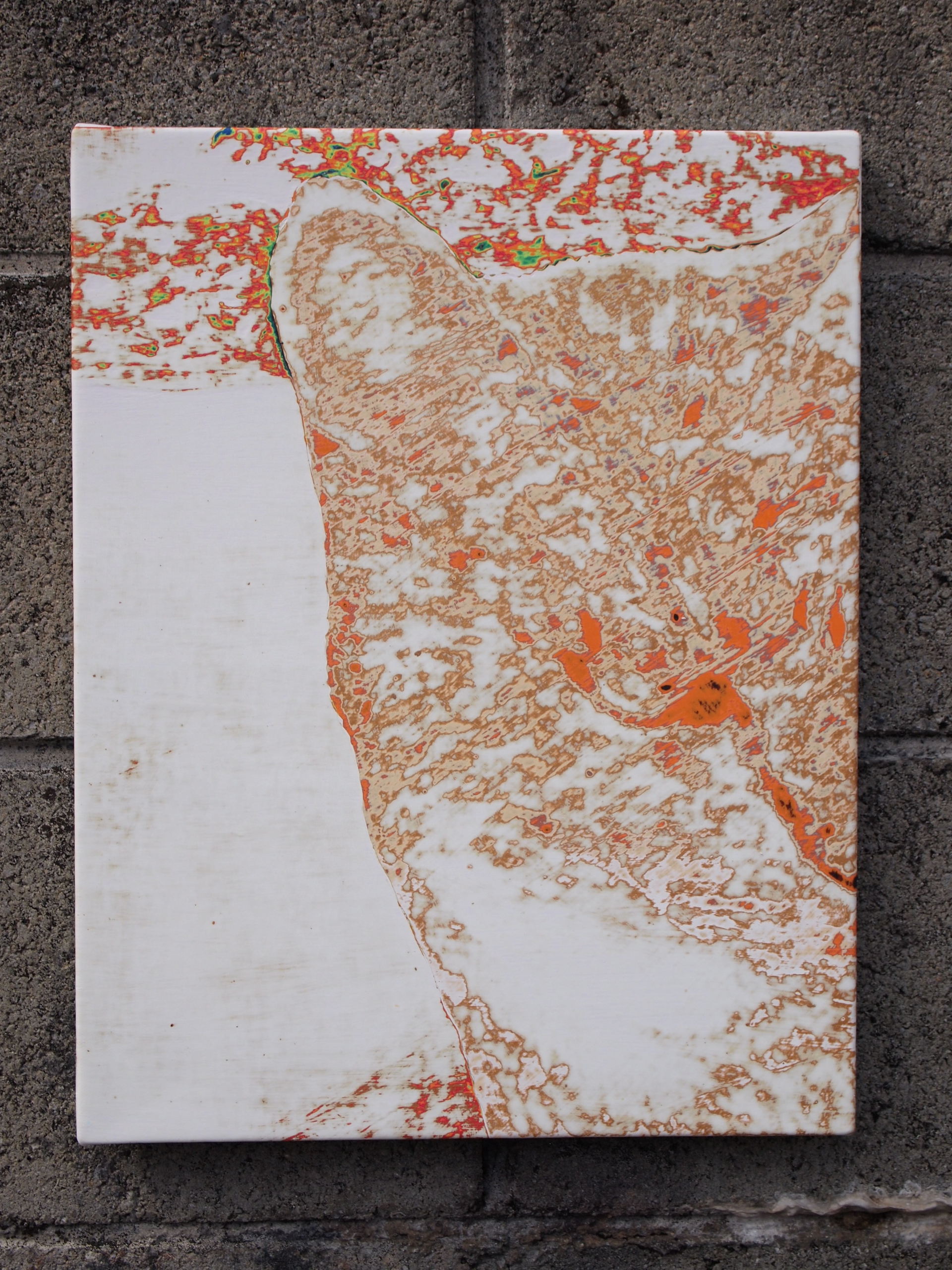 藤本英明作品 島々美しゃ２ 猫本専門書店 書肆 吾輩堂