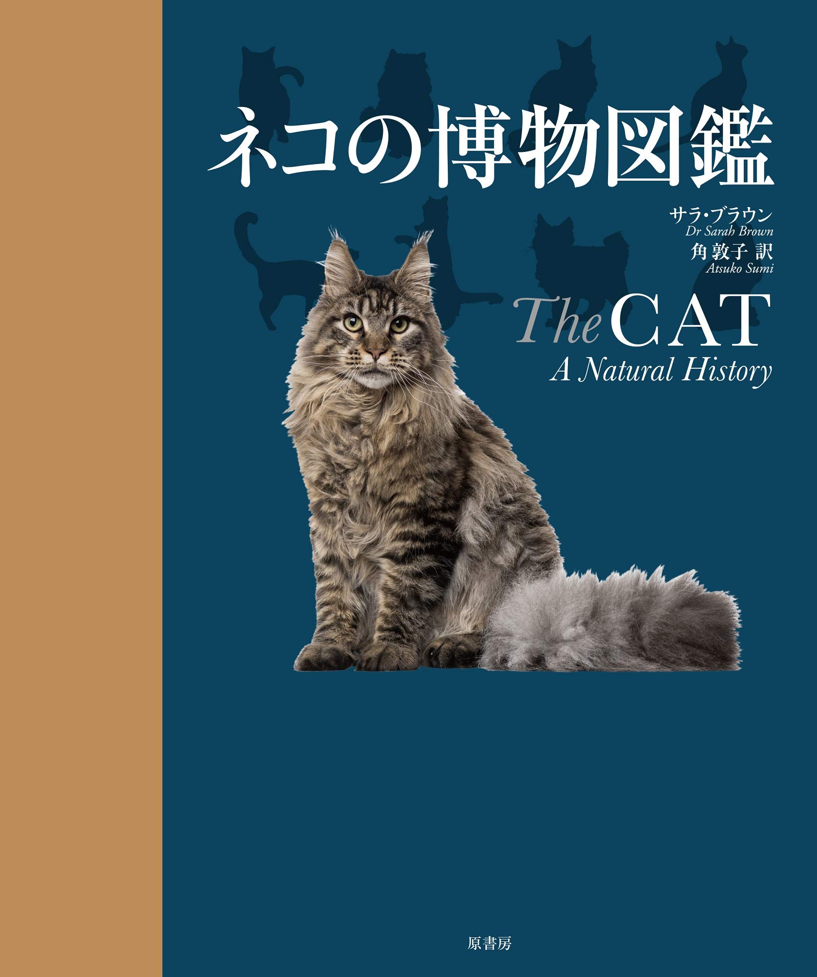 ネコの博物図鑑 | 猫本専門書店 書肆 吾輩堂