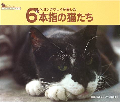 ヘミングウェイが愛した6本指の猫たち