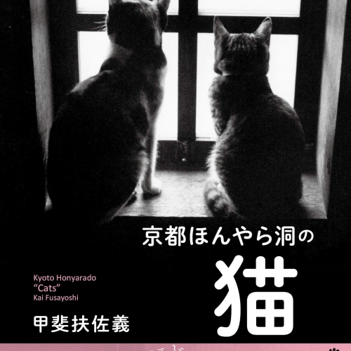 京都ほんやら洞の猫 (甲斐扶佐義写真集)
