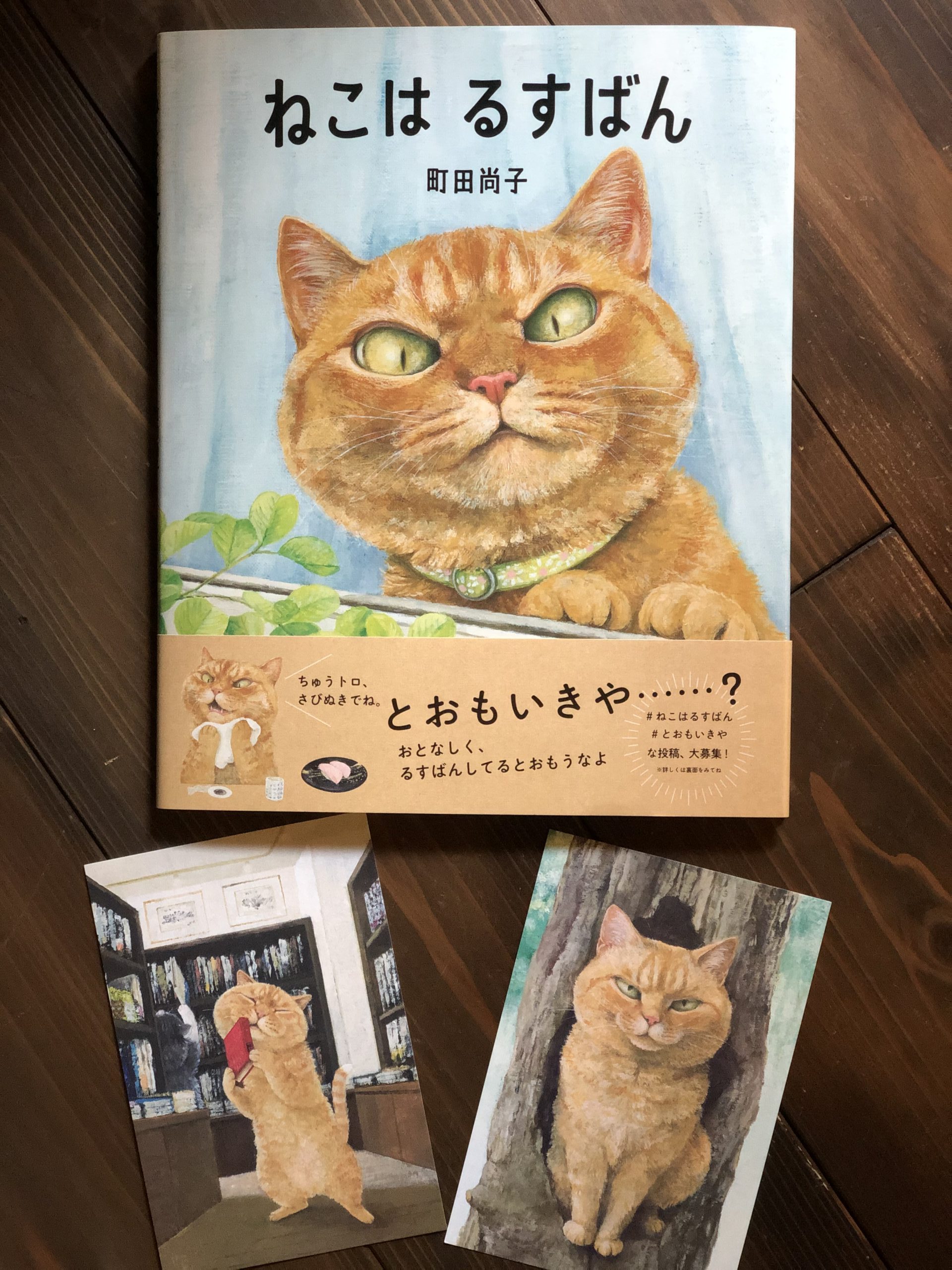 町田尚子さんの本とグッズ | 猫本専門書店 書肆 吾輩堂