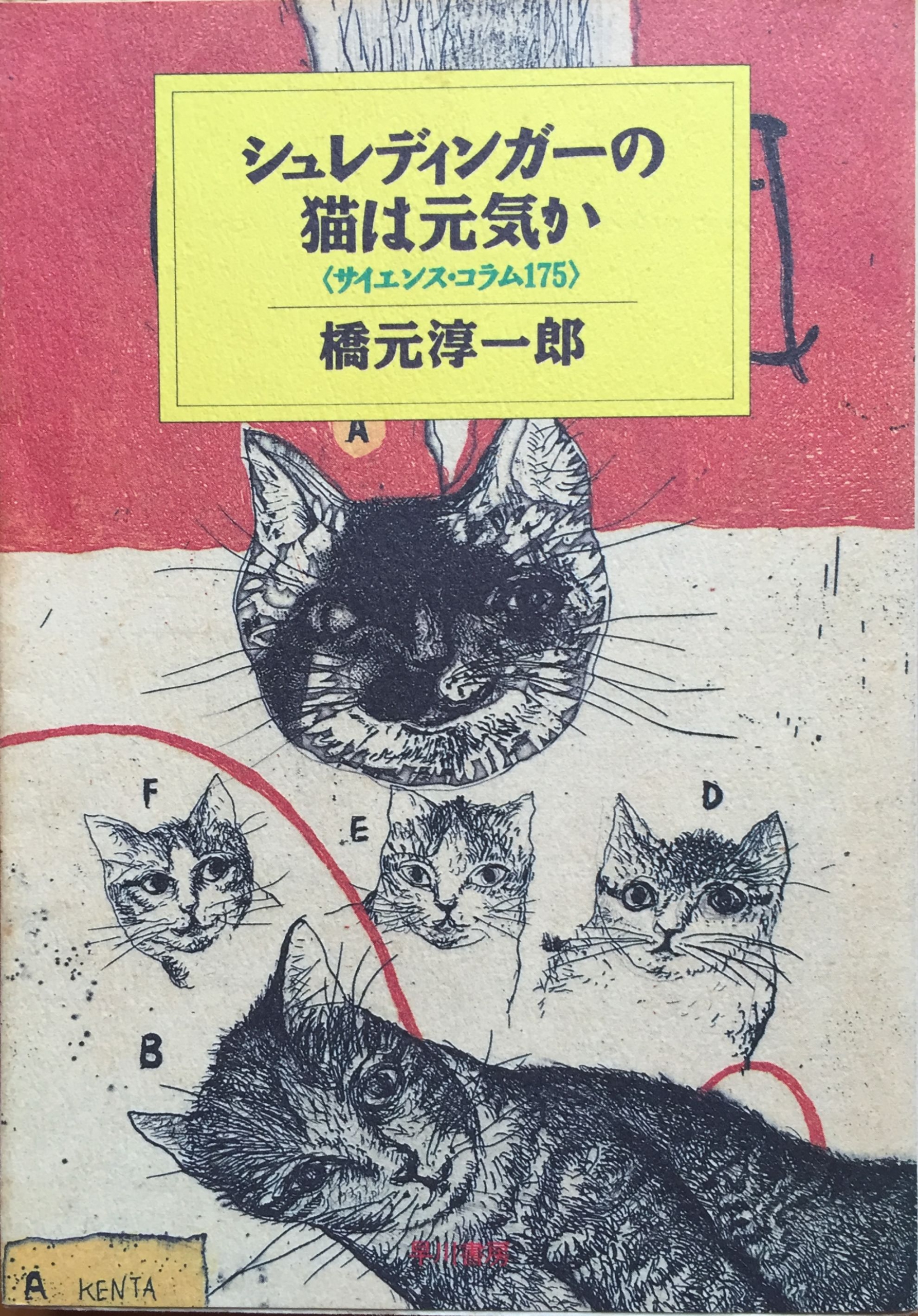 シュレ猫ページ シュレディンガーの猫は元気か | 猫本専門書店 書肆 吾輩堂