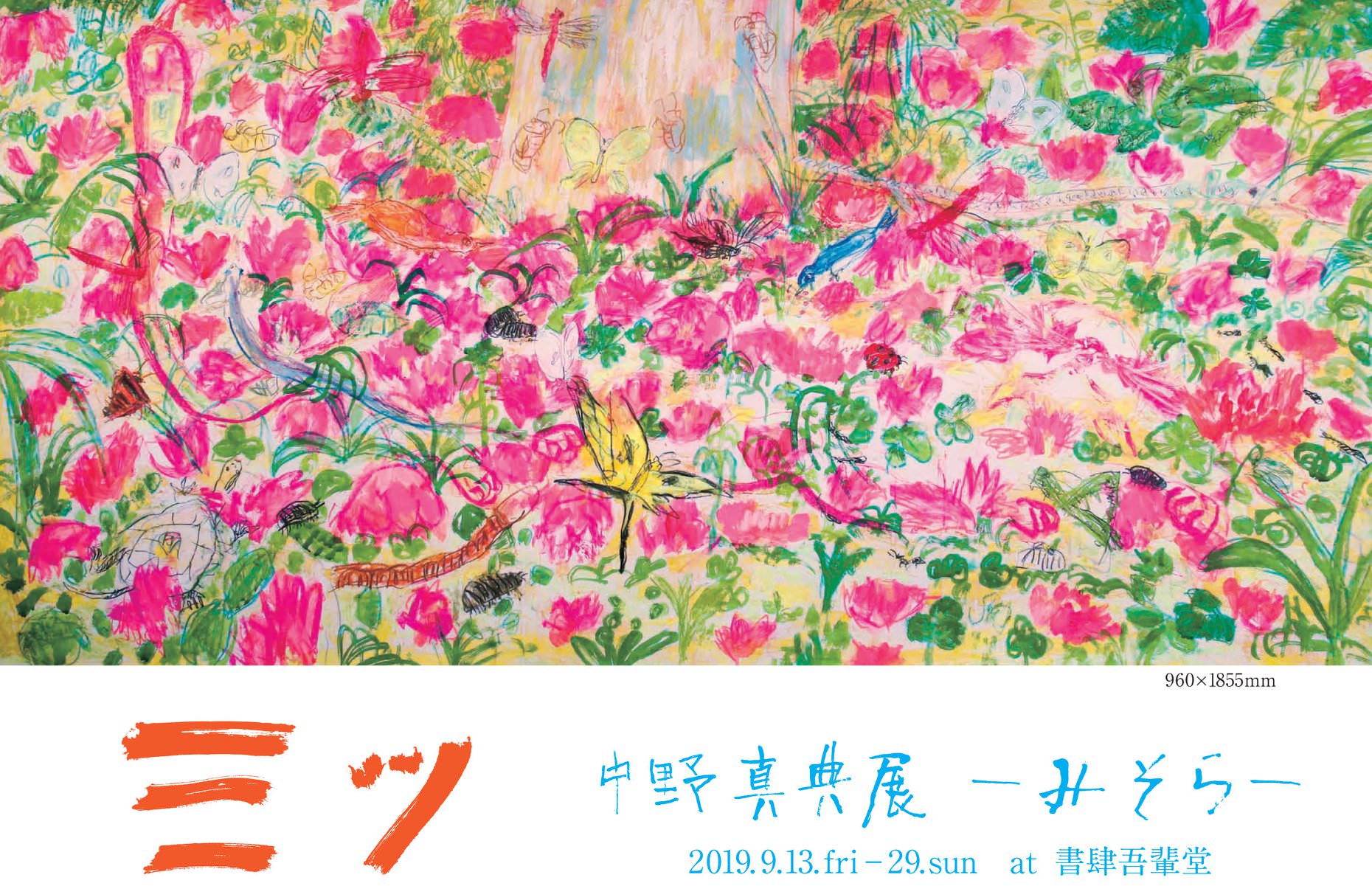ミツ』中野真典展ーみそらー開催 | 猫本専門書店 書肆 吾輩堂
