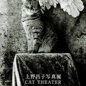 上野昌子 CAT THEATER　写真展開催