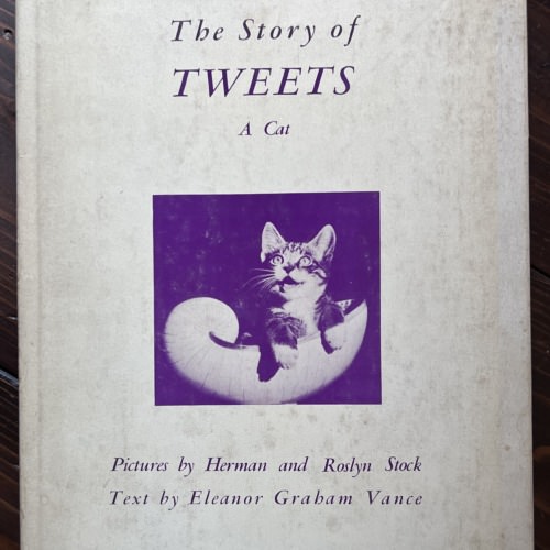 The Story of Tweets A Cat