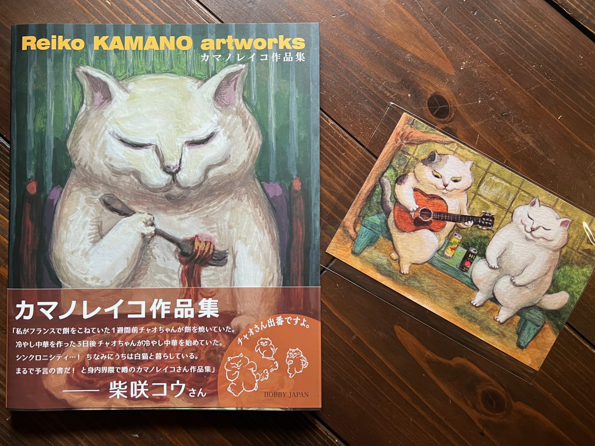 Reiko KAMANO artworks カマノレイコ作品集（サイン・ポストカード付き